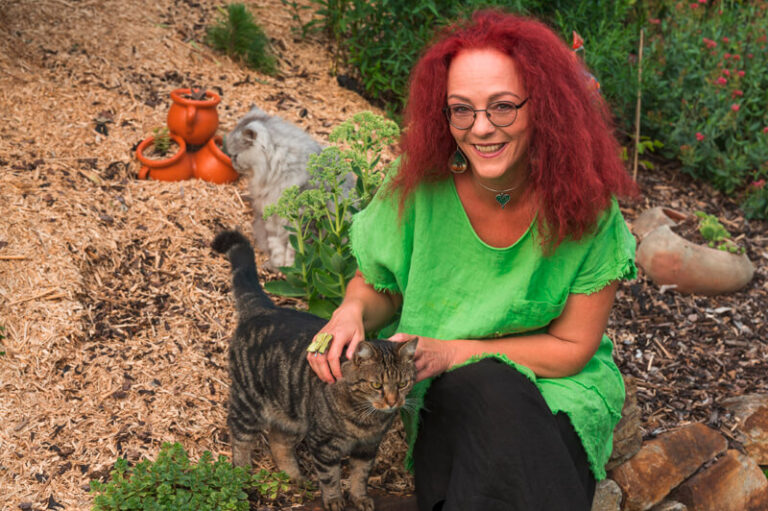 tierkommunikation-katze