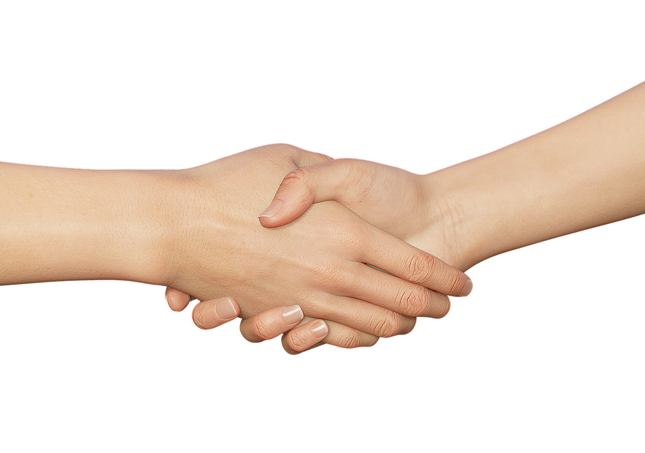 Partner und Links Daniela Haering